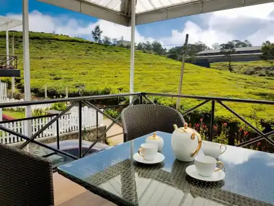 The Tea Garden - 13