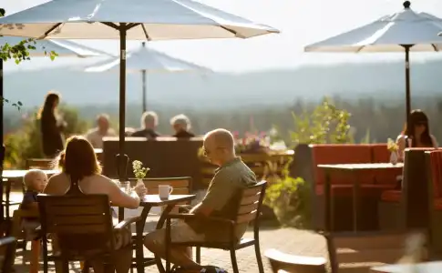 The Juniper - 22