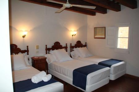 Medium Renaixença - 3