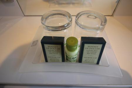 Holiday Inn Paris - Auteuil by IHG - 17