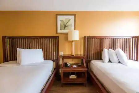 B&B Orlando International Drive Near Universal - Newly Renovated! - 5