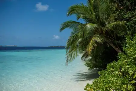 Biyadhoo Island Resort - 21