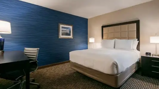 Holiday Inn Express Bellingham by IHG - 97