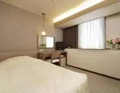 Niigata City - 6