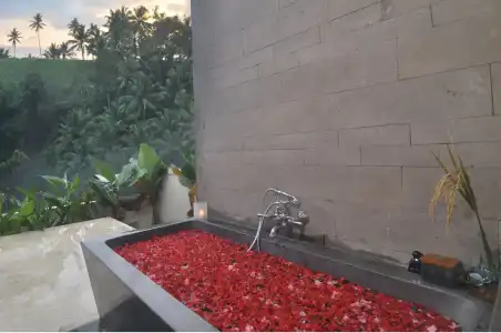 Amora Ubud Boutique Villas - 8