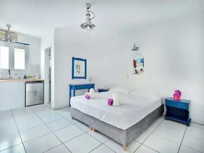 Fyrogenis Palace - Apartments - 245