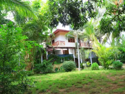 Yala River Face Inn - 8