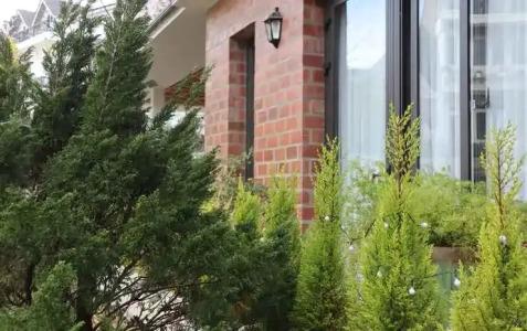 Hoang Loc Villa - 15