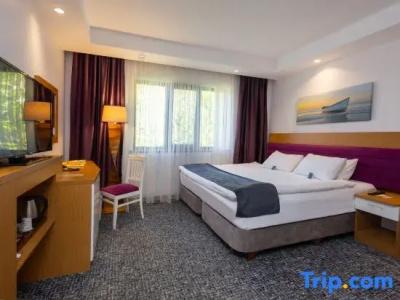 Golden Inn Uzungol - 62