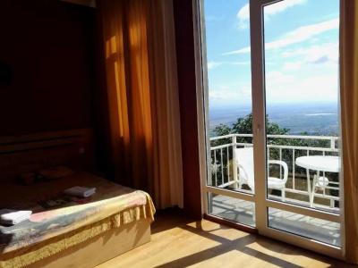 Guest House Alazani Valley - 20