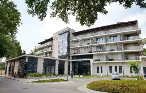 Imola Platan - 8
