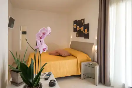Xenia - 3