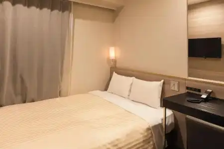 Sotetsu Fresa Inn Shimbashi Hibiyaguchi - 25