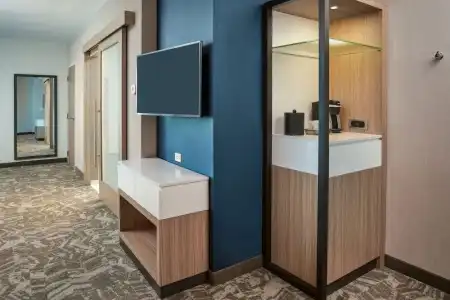 SpringHill Suites by Marriott - 15