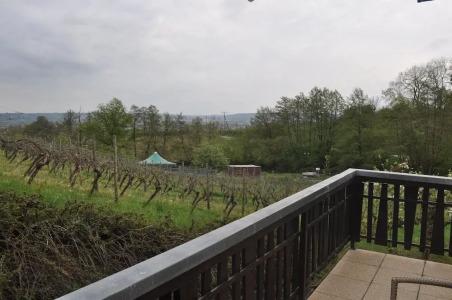 Pension Kühns Mühle - 34