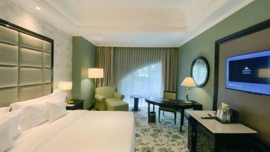 The Papandayan - 30