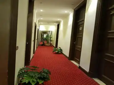 Cairo Paradise - 13