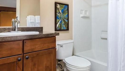 WorldMark Estes Park - 45