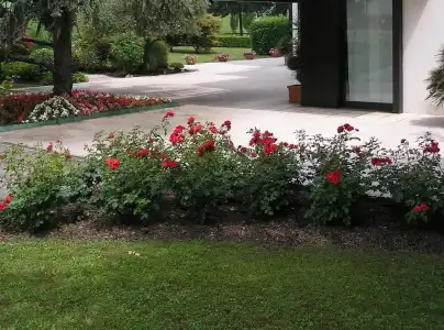 Giovanni - 16