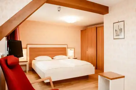 Hotel-Gasthof Goldener Greifen - 42