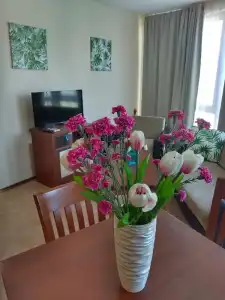 TSB Sunny Victory Apartments - 124