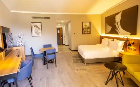 Radisson Blu & Convention Center, Alexandria - 4