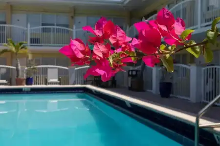 Beach Place - 12