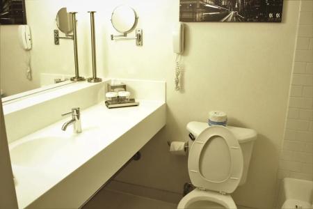 Crowne Plaza CHICAGO WEST LOOP by IHG - 43