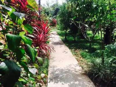Khao Sok Green Mountain View - 4