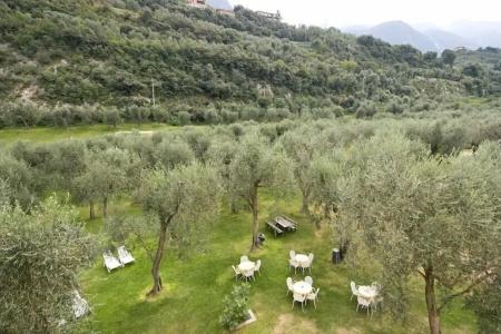 Garni Orchidea - 15