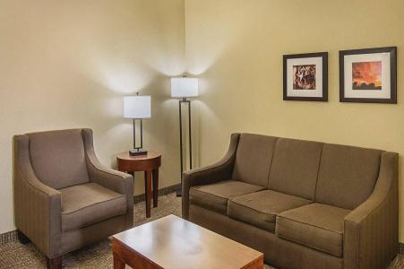 Comfort Inn Midland South I-20 - 12