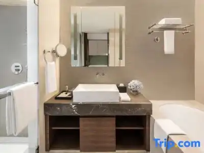 Ascott Raffles City Chengdu - 205
