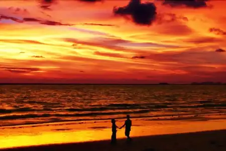Aloha Lanta - 8