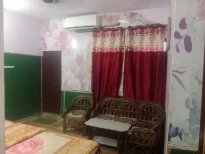 Raj Bed & Breakfast - 57
