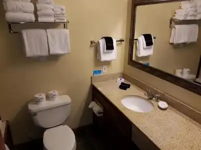 Best Western Branson Inn And Conference Center - 47
