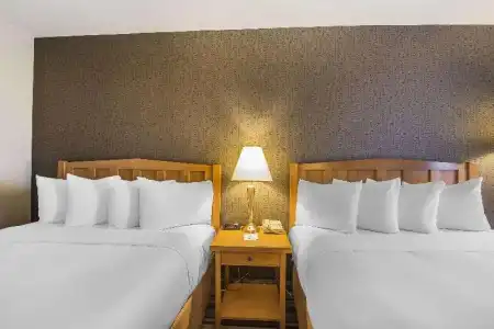 DoubleTree by Hilton Calgary North - 32