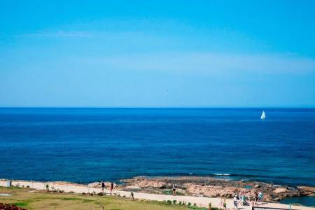 Gold Lagoon Kosher - by Amphora & Suites - 2