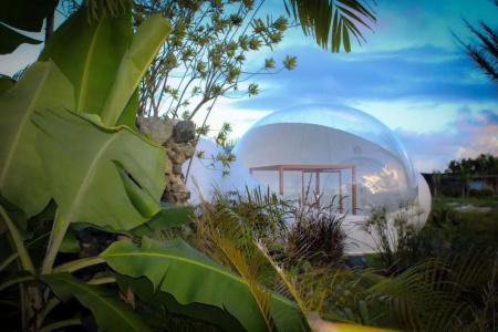 Green Land Bubble Glamping - 47