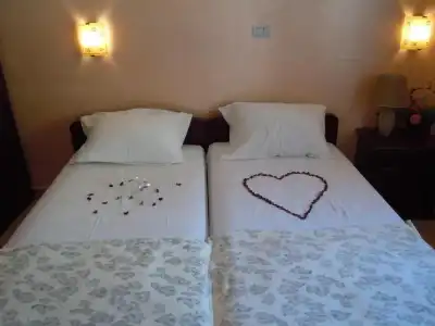 Vila Maslina Guesthouse - 8