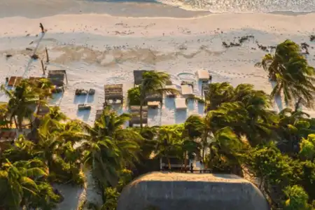 Nest Tulum - 21
