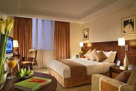 Somerset Chancellor Court Ho Chi Minh City Apart-Hotel - 48