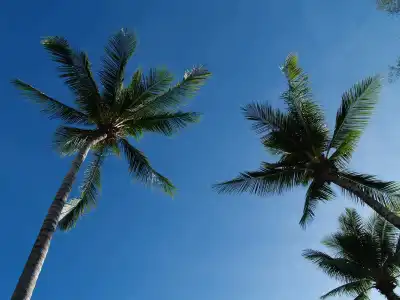Bangtao Village Resort - 18