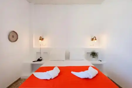 Stella - 29