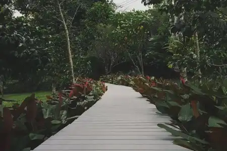 The Hidden Resort & Restaurant - 14