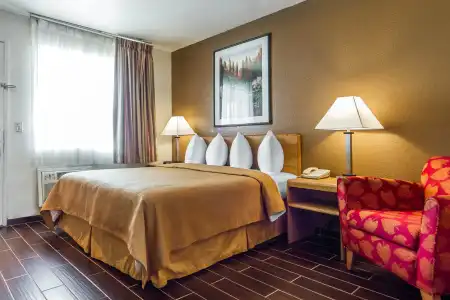 Quality Inn Oakland Airport - 6
