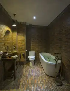 Bagan King - 33