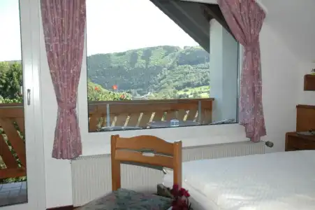 Pension Haus Diefenbach - 61