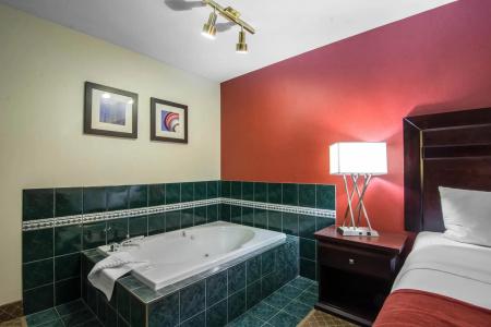 Comfort Inn & Suites Airport South - 8