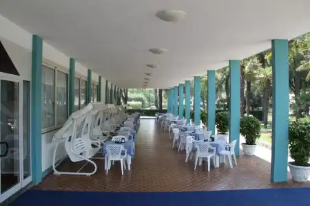 Palm Beach - 16