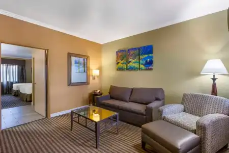 Royal Sun & Suites - 81